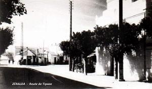 Zeralda - Route de Tipaza